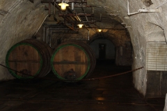 2014brau_06